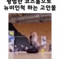썸네일 아이콘